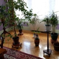 Vila lacné ubytovanie blízko Gdansku, odpočinok v Poľsku